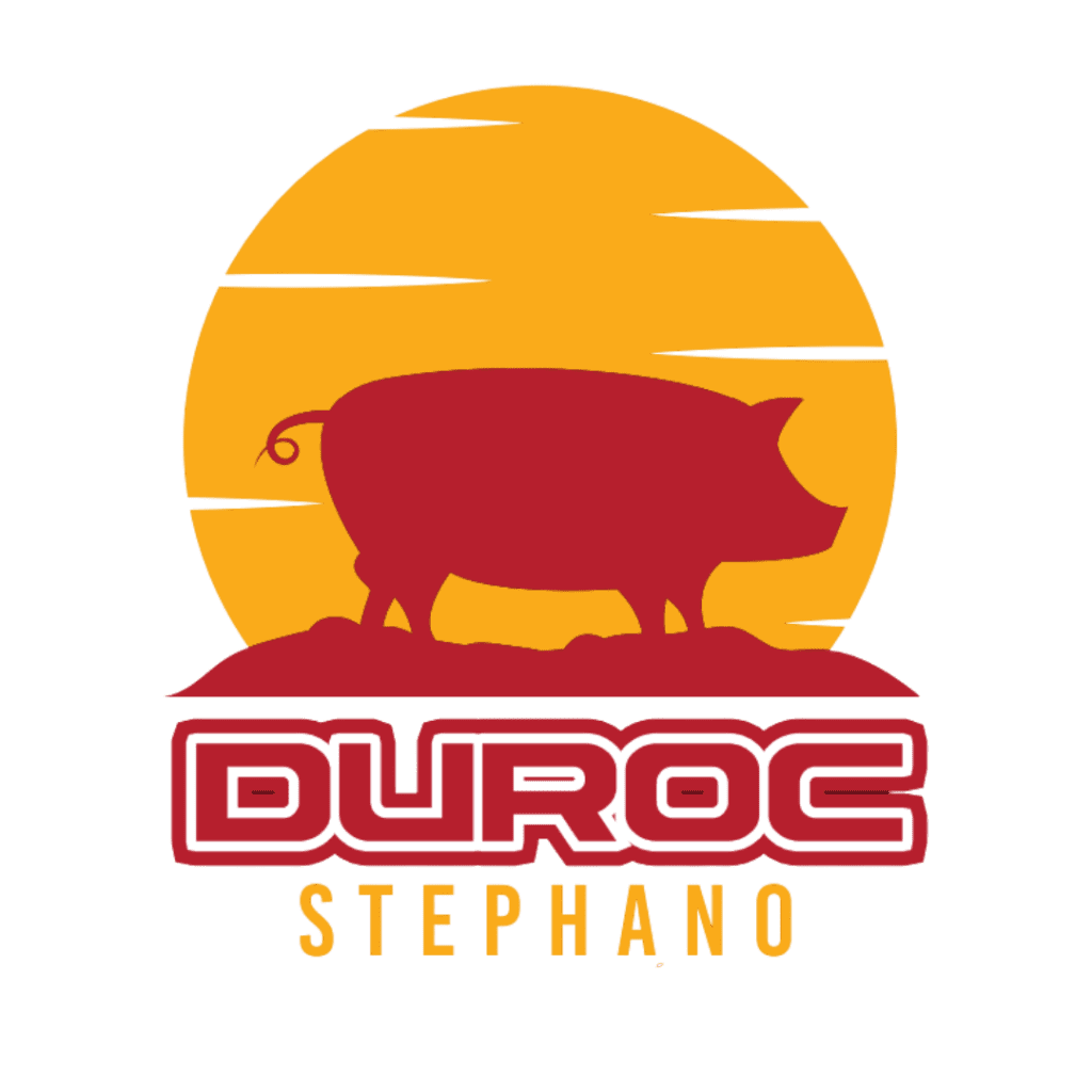 Diseño sin título (8)